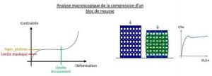 Analyse macroscopique de la compression d'un bloc de mousse